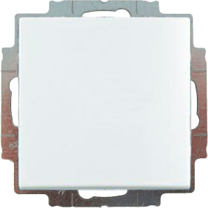 2538-94-507 Заглушка Basic 55 колір білий ABB